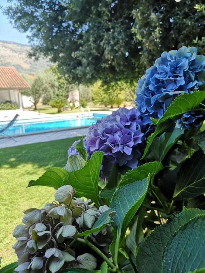 Villetta Blue Garden Sonnino Bagian luar foto