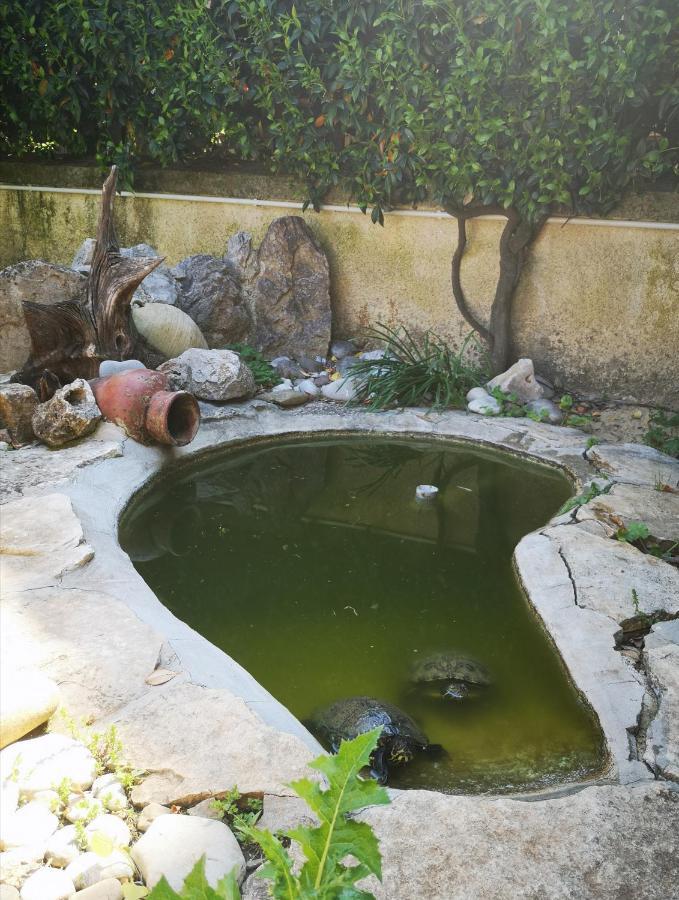 Villetta Blue Garden Sonnino Bagian luar foto